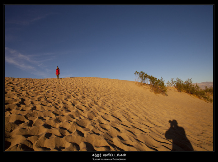 dunes1.jpg